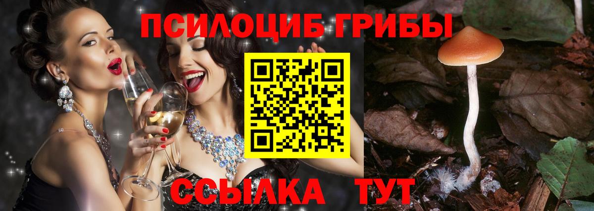 Галлюциногенные грибы мицелий Моздок