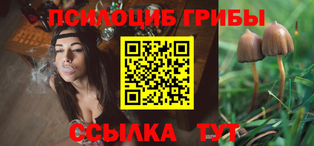 Галлюциногенные грибы мицелий  Вход с VPN  Псилоцибиновые грибы мухоморы  Моздок 